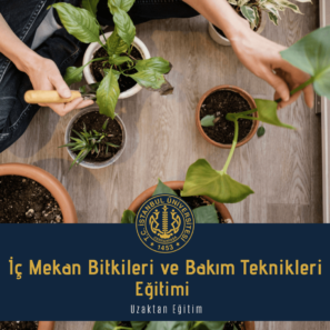 İç Mekan Bitkileri ve Bakım Teknikleri