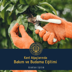Kent Ağaçlarında Bakım ve Budama Eğitimi (Teorik)