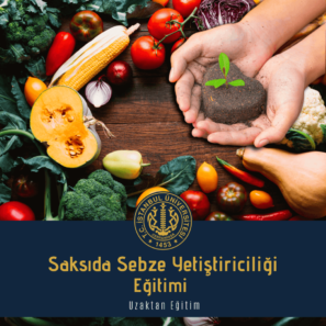 Saksıda Sebze Yetiştiriciliği