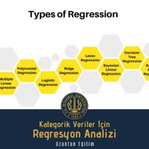 Kategorik Veriler İçin Regresyon Analizi